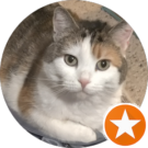 Andrea Fleming Avatar